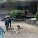 Dylan Conrique Instagram - home for a lil🥰