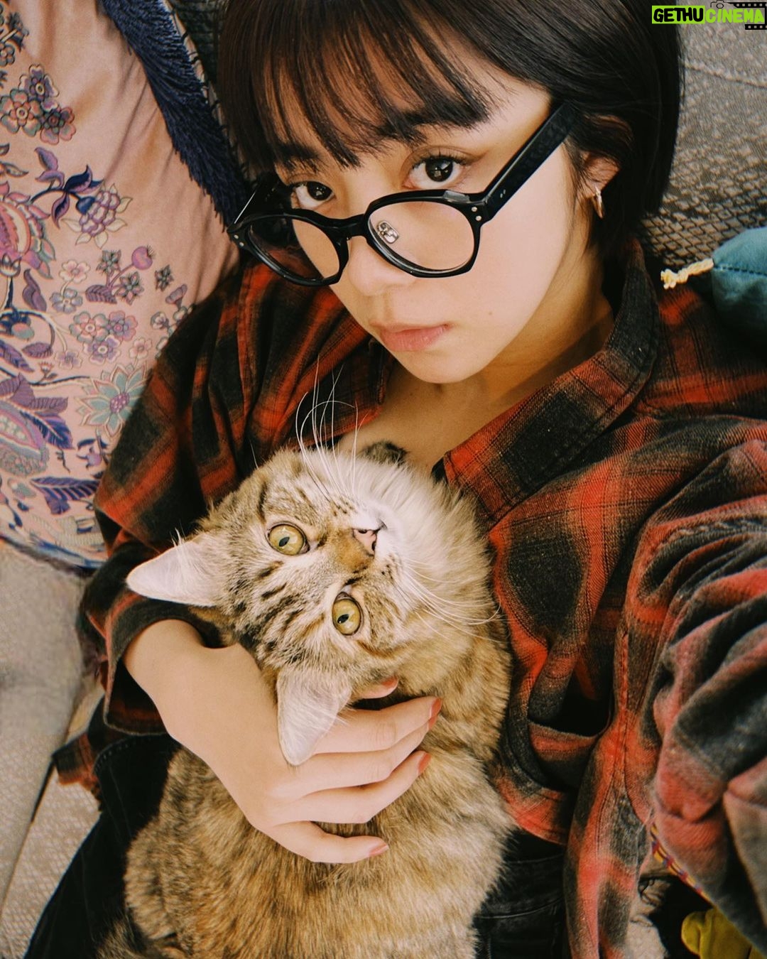 Elaiza Ikeda - 84.9K Likes - 🐈family🐈