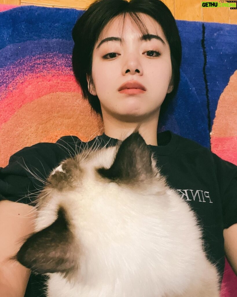 Elaiza Ikeda Instagram - 可愛いグッズ届いて嬉しくて久々に写真撮ったけど猫よ…猫よ… @go_shampoo_go