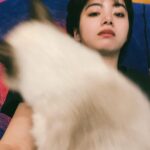 Elaiza Ikeda Instagram - 可愛いグッズ届いて嬉しくて久々に写真撮ったけど猫よ…猫よ… @go_shampoo_go