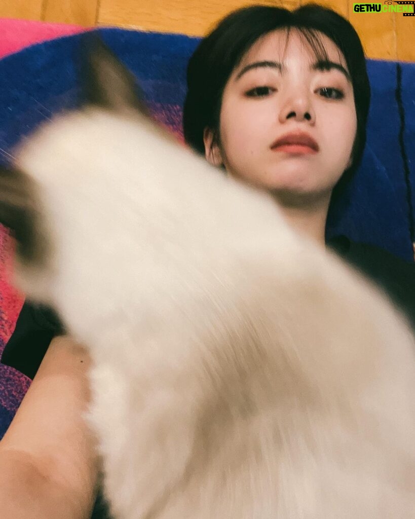 Elaiza Ikeda Instagram - 可愛いグッズ届いて嬉しくて久々に写真撮ったけど猫よ…猫よ… @go_shampoo_go