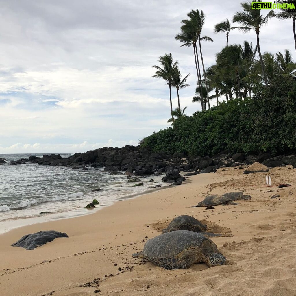 Elizabeth Lail Instagram - Mahalo Hawaii 🌺