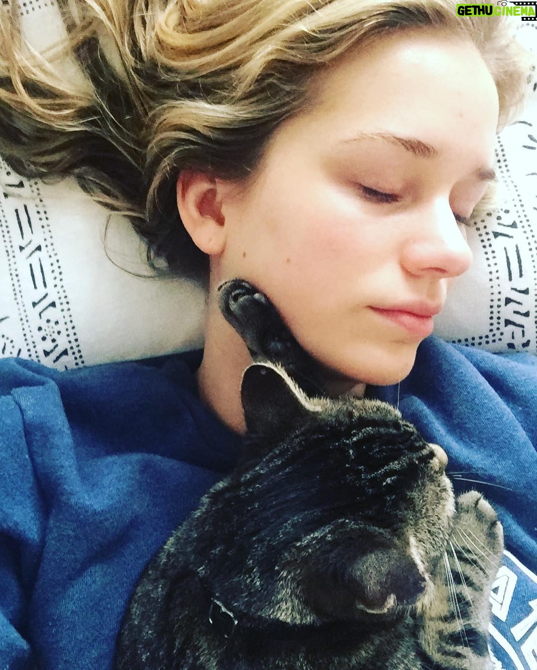 Elizabeth Lail Instagram - And now, we sleep 😴 happy Sunday xx