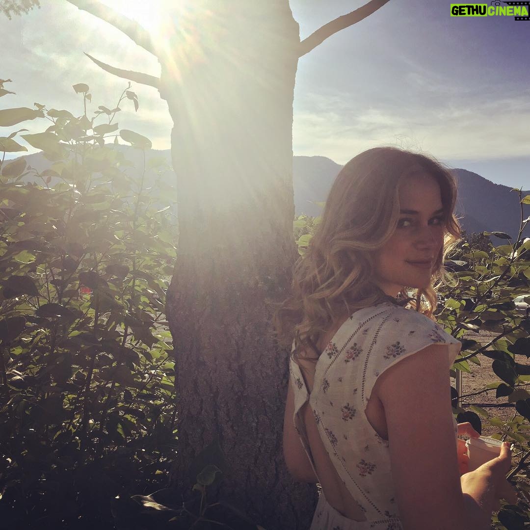 Elizabeth Lail Instagram - @amberconey photography #deadofsummer