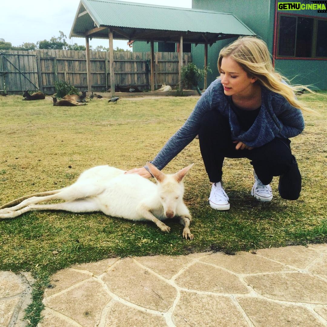 Elizabeth Lail Instagram - Kangaroo whisperer
