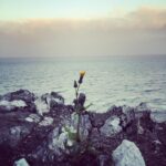 Elizabeth Lail Instagram –