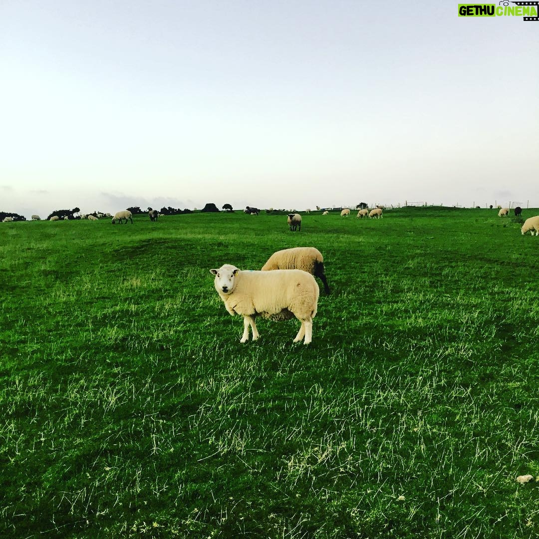 Elizabeth Lail Instagram - Wicklow, Ireland