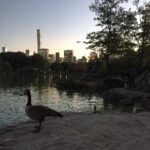 Elizabeth Lail Instagram – Picnics in the park, geese on the prowl with @julefevre @julianne_lawson