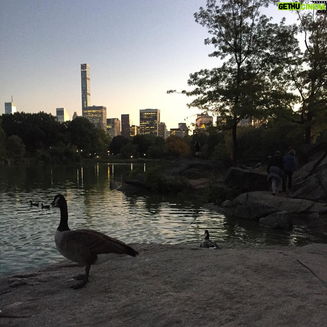 Elizabeth Lail Instagram - Picnics in the park, geese on the prowl with @julefevre @julianne_lawson