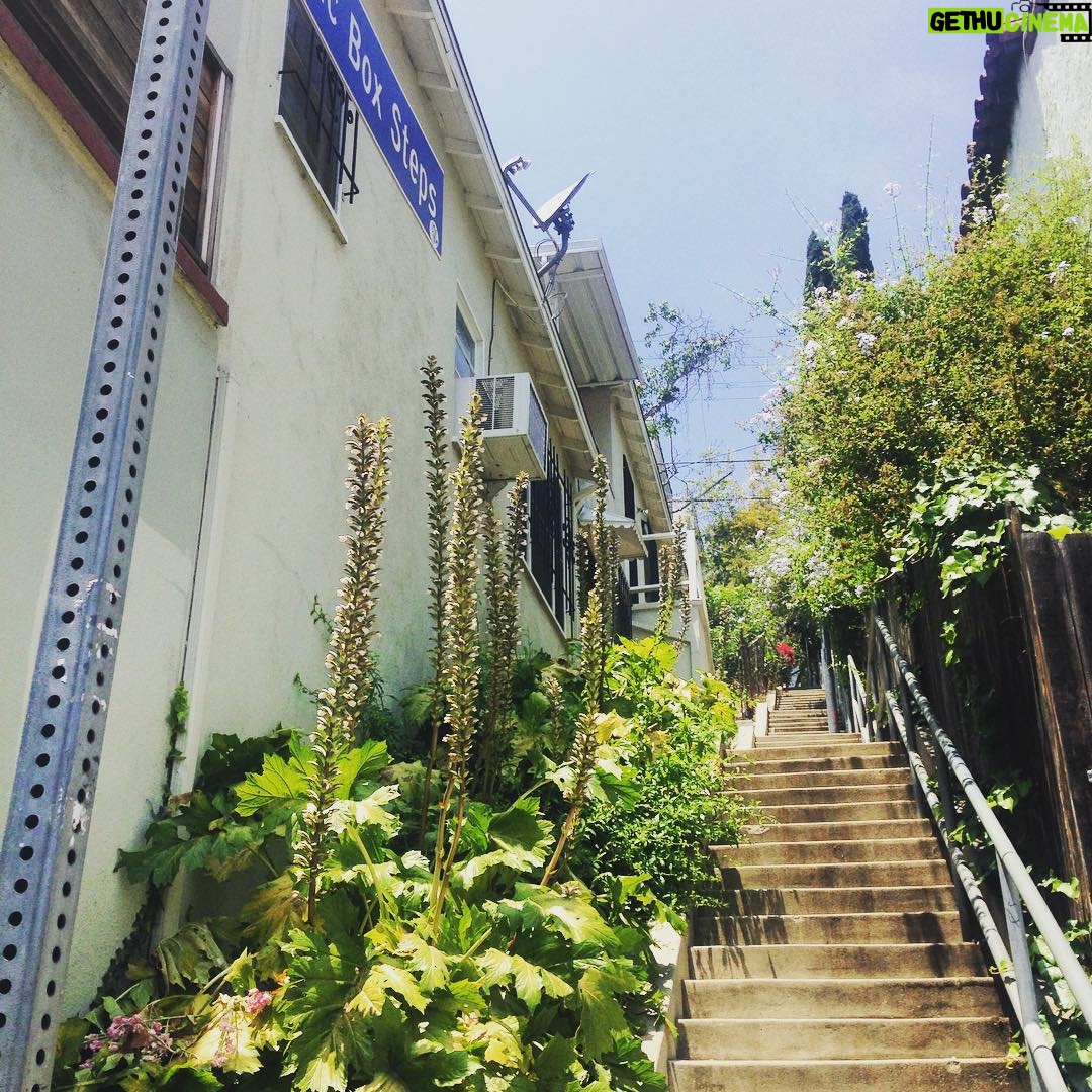 Elizabeth Lail Instagram - Music Box Steps #urbanhiking #hollywoodhistory