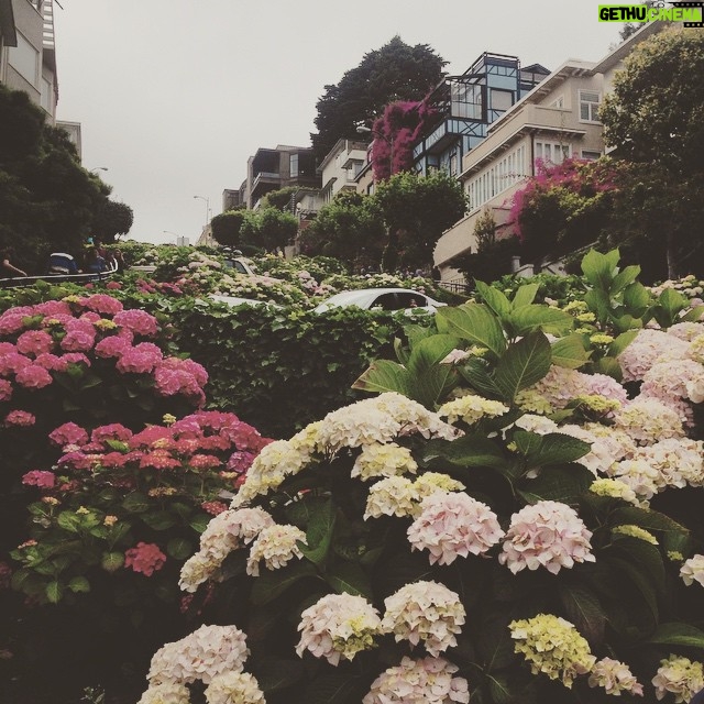 Elizabeth Lail Instagram - Can you guess where I am?