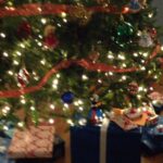 Elizabeth Lail Instagram - Happy Christmas!