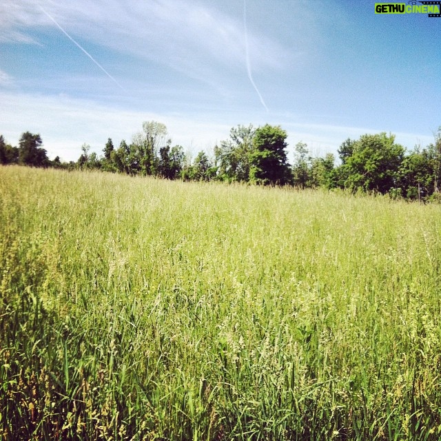 Elizabeth Lail Instagram - https://www.crowdrise.com/SEASON5atSPACE/fundraiser/lailroberts Donate TODAY to @spaceonryderfarm and help creativity flourish!