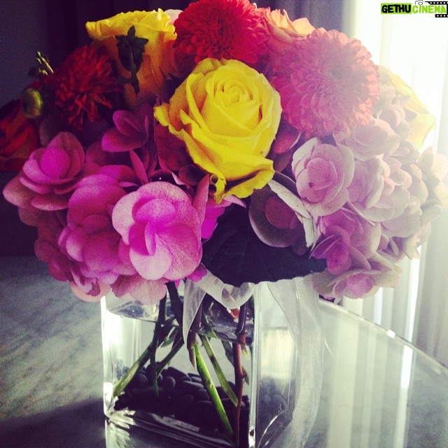 Elizabeth Lail Instagram - Beautiful flowers arrived to celebrate my first job! So grateful for @seanliebowitz @laurenwilliams2014 @bonniebernstein1 @nigelmeiojas