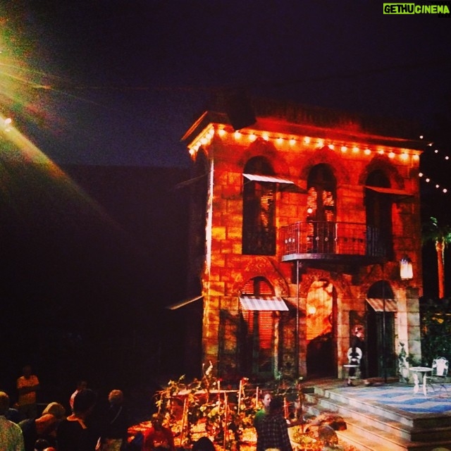 Elizabeth Lail Instagram - Much Ado About Nothing was absolutely beautiful tonight #shakespeareinthepark #thepublictheater #lilyrabe #hamishlinklater
