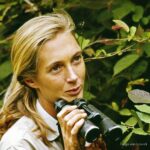 Ellen Pompeo Instagram – Wishing our friend Dr. Jane Goodall a happy 90th birthday. Dr. Goodall is an extraordinary example of a woman who has led her life with purpose and passion. 

Dr. Goodall’s research is the longest-running field research on wild chimpanzees. Her approach changed the way the world looked at our ancestors, and she continues this today through her organization, The Jane Goodall Institute.(@janegoodallinst)

She continues to inspire young kids worldwide to break boundaries and not be afraid to follow their passions. 

Jane, thank you for everything you do for women, humanity, and the planet. We are so grateful for your journey and so happy you were born.

Love,
Ellen 

#Janeat90 #GoodAllDay