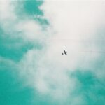 Emily Bett Rickards Instagram - Ants eye view