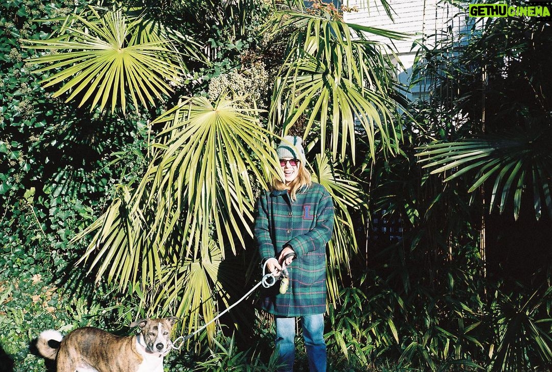 Emily Bett Rickards Instagram - If you’re jonesing for the tropics get intimate with a 🌴 (please note: your dog may not be down with this)