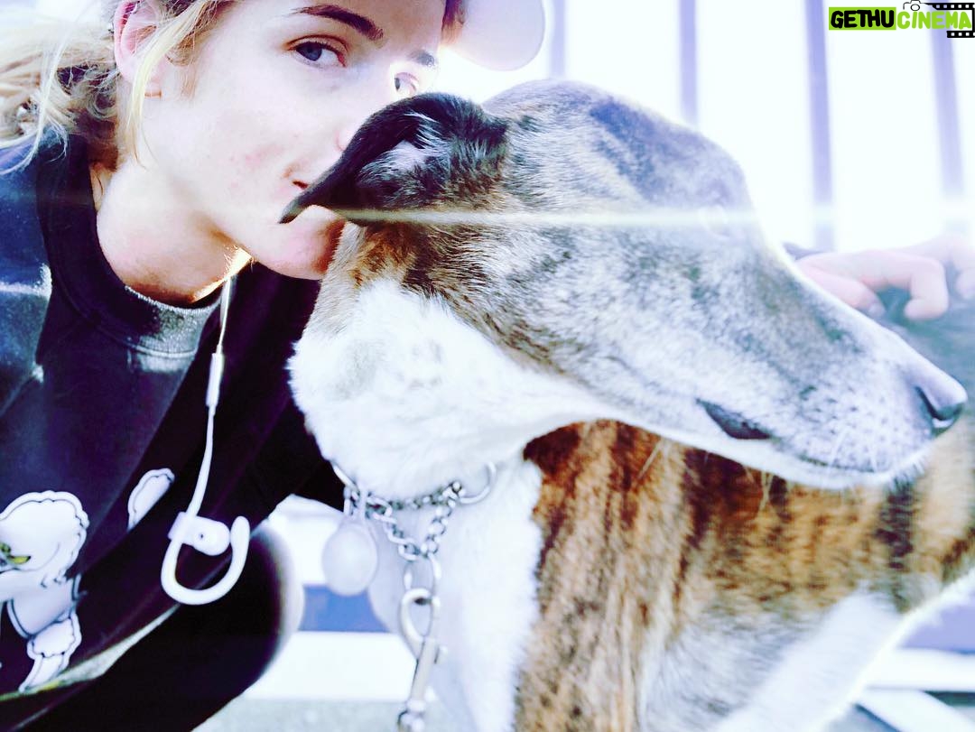 Emily Bett Rickards Instagram - Final run of 2018 together. I attempt to get a shot of us every time from this spot. She’s not a fan... Of the run or the photo shoot. And I don’t care 🤷♀️ 💙🐶