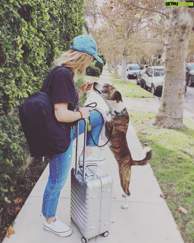 Emily Bett Rickards Instagram - Away with my number one bae! 🐕