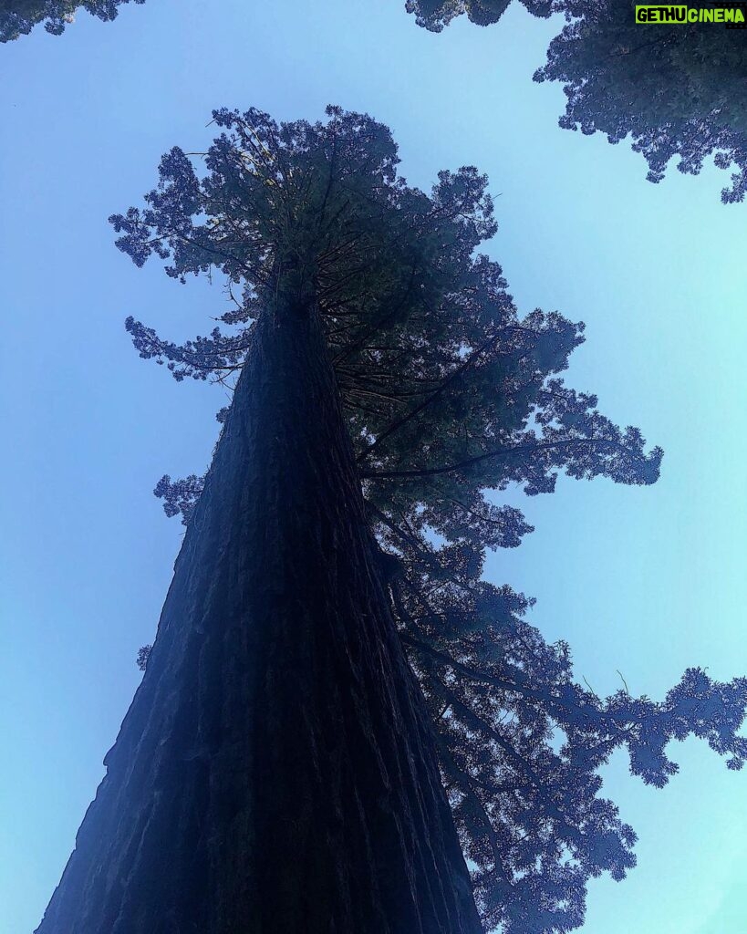 Emily Bett Rickards Instagram - Legend has it that the sky was this blue that day and Emily stayed in The Lost Woods for all eternity ... 🌲🙋🏼‍♀️