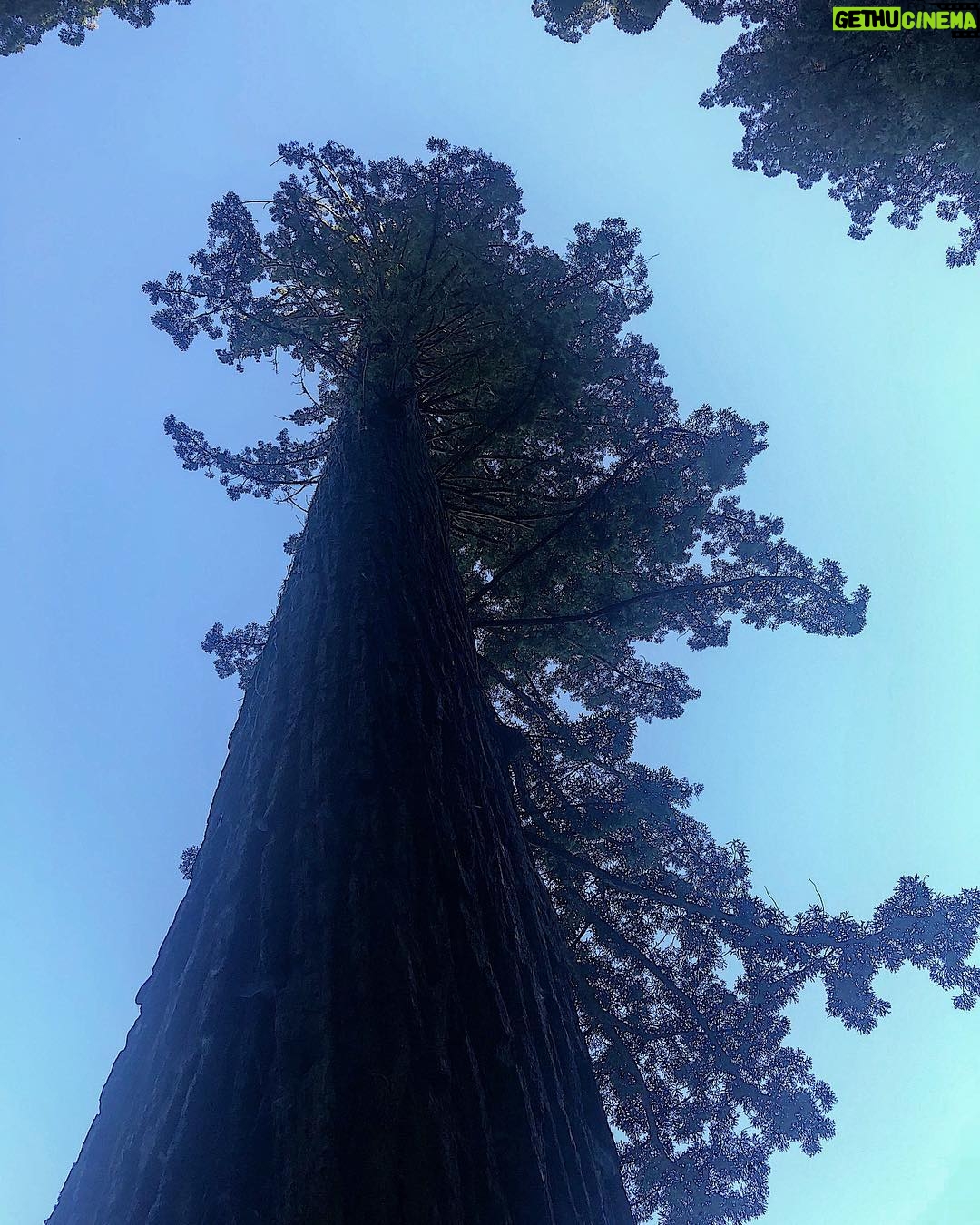 Emily Bett Rickards Instagram - Legend has it that the sky was this blue that day and Emily stayed in The Lost Woods for all eternity ... 🌲🙋🏼♀️