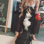 Emily Bett Rickards Instagram - Hate to brag but...