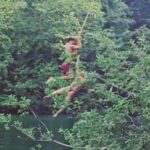 Emily Bett Rickards Instagram - It could happen to you... your loved ones... a stranger on the street. For centuries Belly Flopping has ignited fear in humanity. Causing injuries, fatalities, and loss of dignity. Adult Adult Supervision can help. Ask your doctor if AAS is right for you. (Sideeffectsmayincludelessfun,chores,andnoTV)