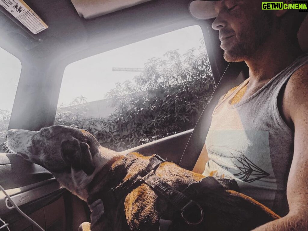 Emily Bett Rickards Instagram - Road Trip Tip #27: Sleep wherever you can.
