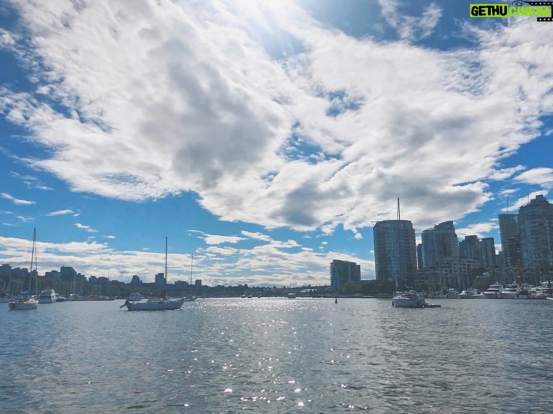 Emily Bett Rickards Instagram - Morning Vancity