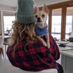 Emily Bett Rickards Instagram - This little man was abandoned late at night at the vet hospital high on drugs. Now he's living the good life thanks to incredible veterinary technicians like my sistaa and people like my dad and step mom who "can't OD on dogs".