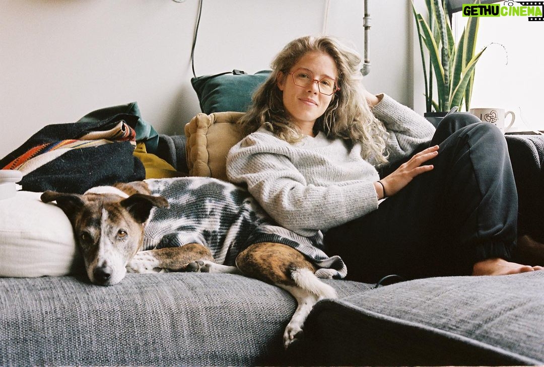 Emily Bett Rickards Instagram - Does Ophie look like a cow or a craft project?