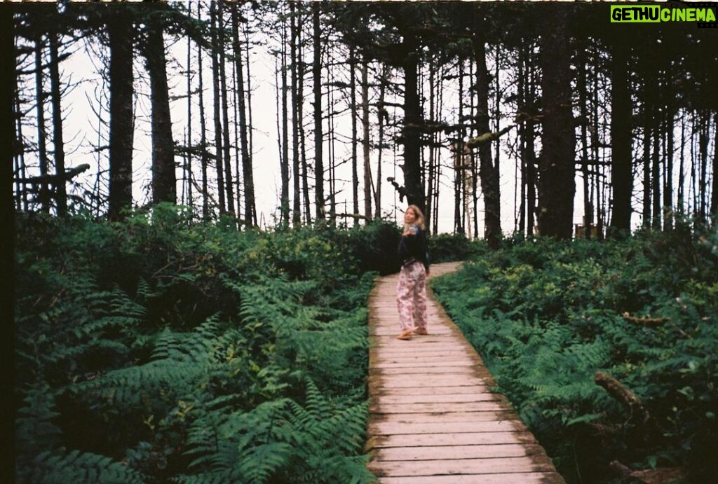 Emily Bett Rickards Instagram - Between one million ferns. Portra 400 35mm.