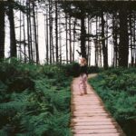 Emily Bett Rickards Instagram – Between one million ferns.
Portra 400 35mm.
