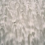 Emily Bett Rickards Instagram – Sand Striations
Portra 400 35mm