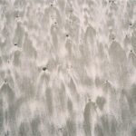 Emily Bett Rickards Instagram - Sand Striations Portra 400 35mm