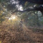 Emily Skinner Instagram - Little me big tree