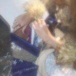 Emily Skinner Instagram - Dreamscape 🌙 Photos by talented @__jbeezy_