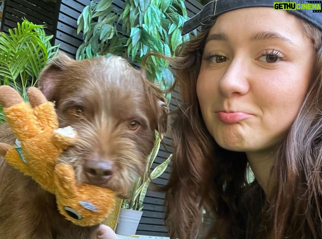 Emma Kenney Instagram - New life who dis? #adoptdontshop @itsyogishouse meet Terrance