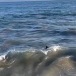Emma Kenney Instagram - Life by the beach sure is sweet! Malibu, California