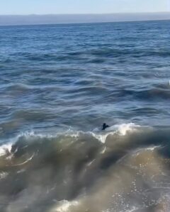 Emma Kenney Instagram - Life by the beach sure is sweet! Malibu, California