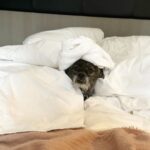 Emma Kenney Instagram - Do not disturb @11_howard SoHo Manhattan