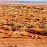Eren Vurdem Instagram - Gitmeye değer yerlerin kestirmesi yoktur ... Utah / Monument Valley