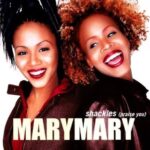 Erica Campbell Instagram - The Mary’s be out here!!!! Repost from @thesherylleeralph • I’m that LADY! 🤣 What did you think of that last episode of @abbottelemabc? I’m starting to think Mrs. Howard and Ava make a good team don’t you think? @therealmarymary #shackles