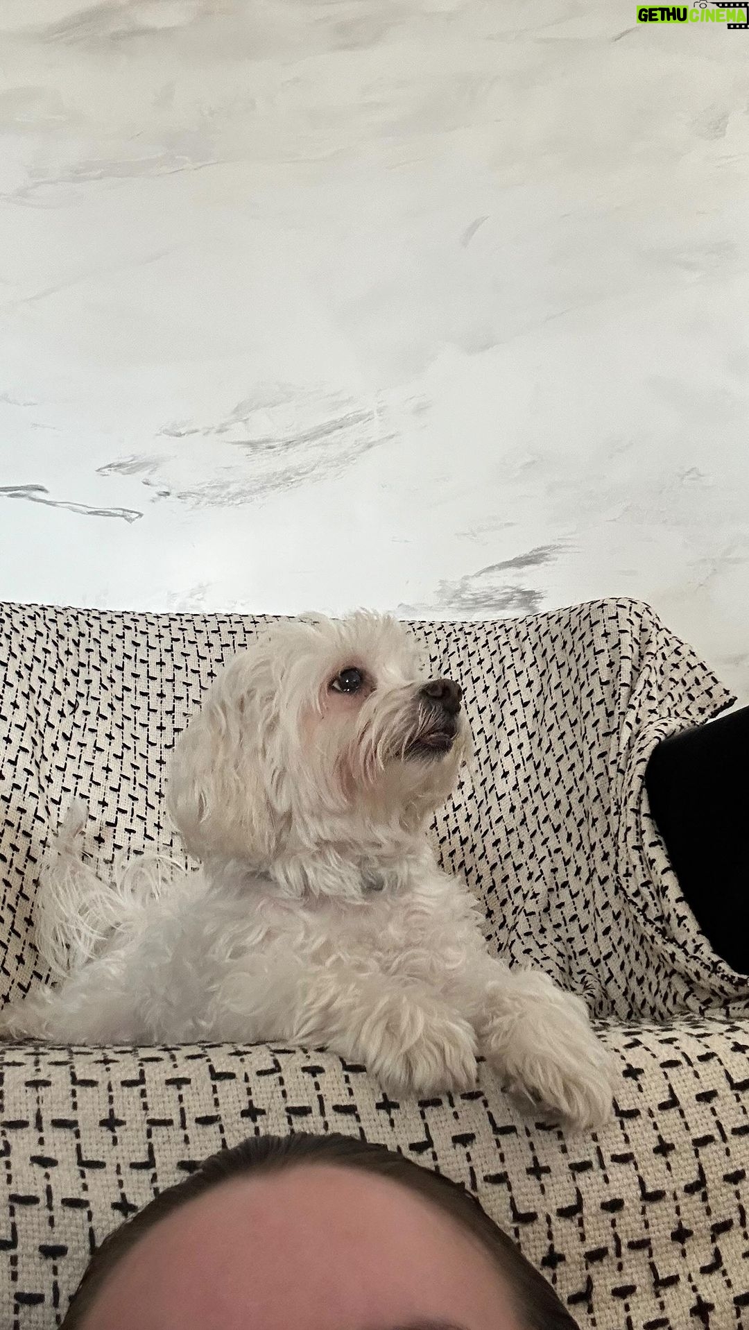 Esther Marcos Instagram - temos um neneg modelando pra vocês hahah não é a coisa maizi linda? 🥹😍