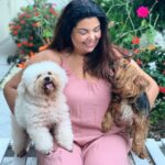 Fabiana Karla Instagram - Eu amo meus “filhos de patinhas”. 🐶🐱Eles são meus anjinhos da guarda e equilibram minha energia e me dão o amor mais puro. Eles se chamam :Miah, Mingau, Bijú e Xodó. Como se chama o seu? #amorpuro #maedepet #filhosdepatas Rio de Janeiro, Rio de Janeiro