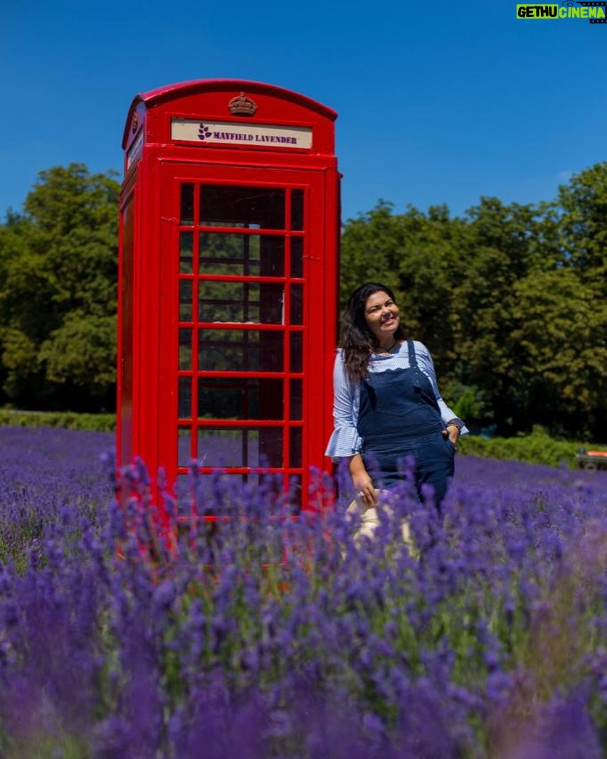 Fabiana Karla Instagram - #Tbt de um mundo pintado de lilás, aromas suaves e a beleza da lavanda no Mayfield Lavender. 🌿💜🪻 Um momento mágico! ✨ . . . . #mayfielavender #lavanda #flores Mayfield Lavender Field