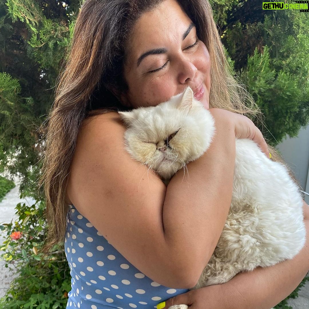 Fabiana Karla Instagram - Eu amo meus “filhos de patinhas”. 🐶🐱Eles são meus anjinhos da guarda e equilibram minha energia e me dão o amor mais puro. Eles se chamam :Miah, Mingau, Bijú e Xodó. Como se chama o seu? #amorpuro #maedepet #filhosdepatas Rio de Janeiro, Rio de Janeiro