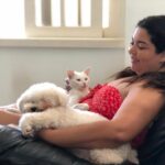 Fabiana Karla Instagram - Eu amo meus “filhos de patinhas”. 🐶🐱Eles são meus anjinhos da guarda e equilibram minha energia e me dão o amor mais puro. Eles se chamam :Miah, Mingau, Bijú e Xodó. Como se chama o seu? #amorpuro #maedepet #filhosdepatas Rio de Janeiro, Rio de Janeiro