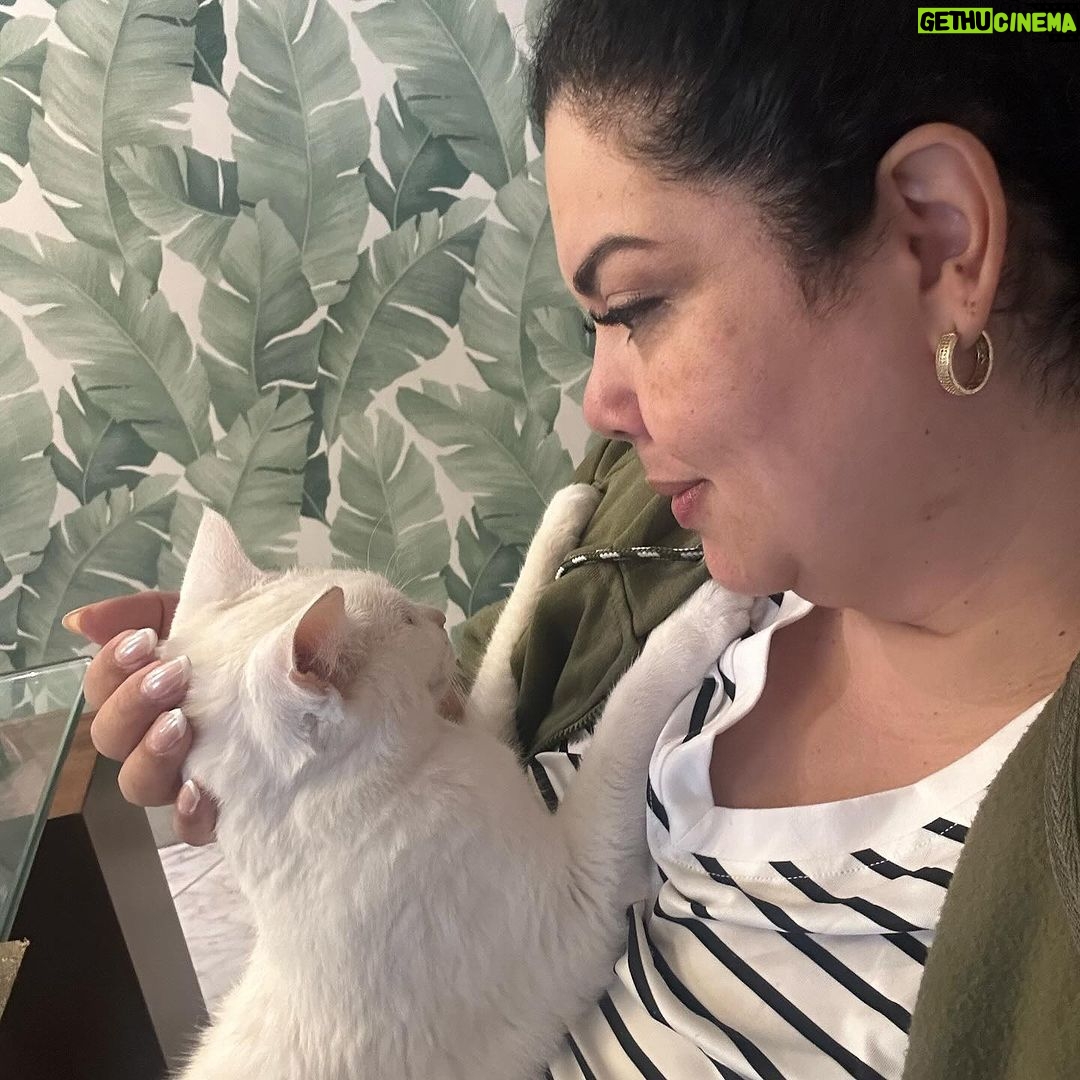 Fabiana Karla Instagram - Eu amo meus “filhos de patinhas”. 🐶🐱Eles são meus anjinhos da guarda e equilibram minha energia e me dão o amor mais puro. Eles se chamam :Miah, Mingau, Bijú e Xodó. Como se chama o seu? #amorpuro #maedepet #filhosdepatas Rio de Janeiro, Rio de Janeiro